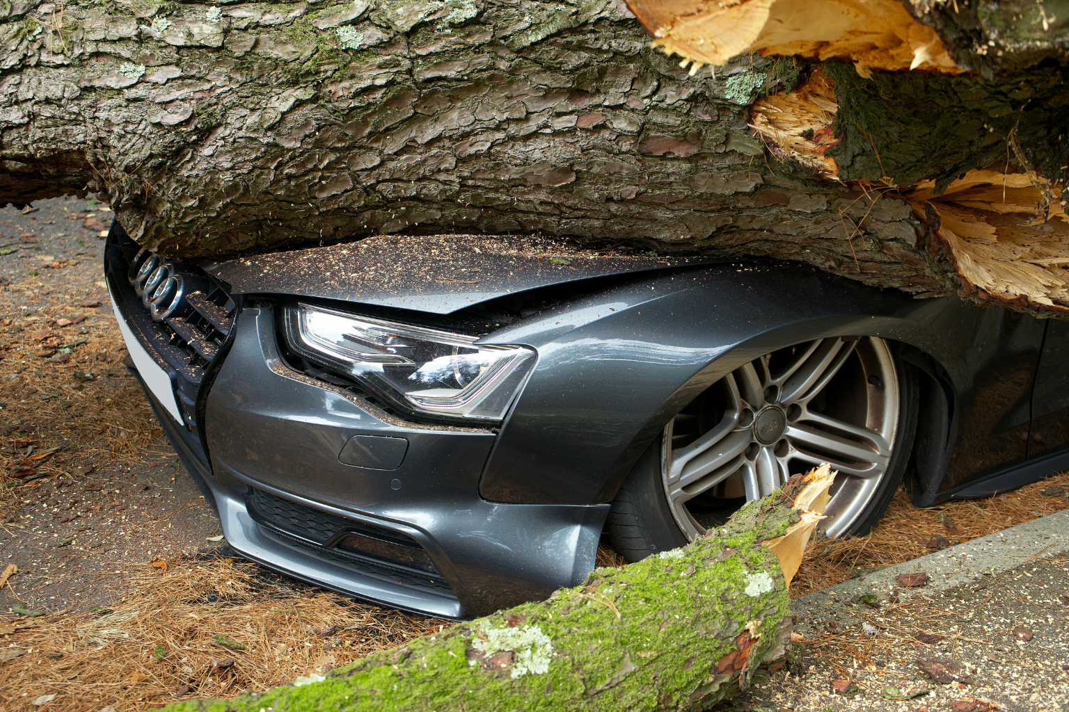 Voiture endommagée écrasée par un arbre tombé, illustrant la Loi sur l’assurance automobile et la couverture des dommages matériels.